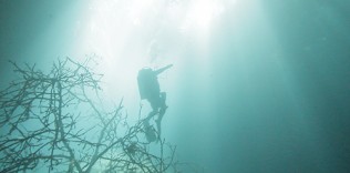 Cenote 2