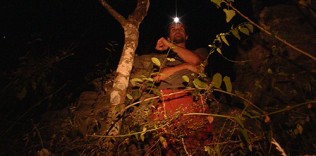 Uxul Noche