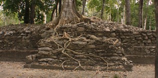 Calakmul