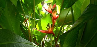 Jardín botánico
